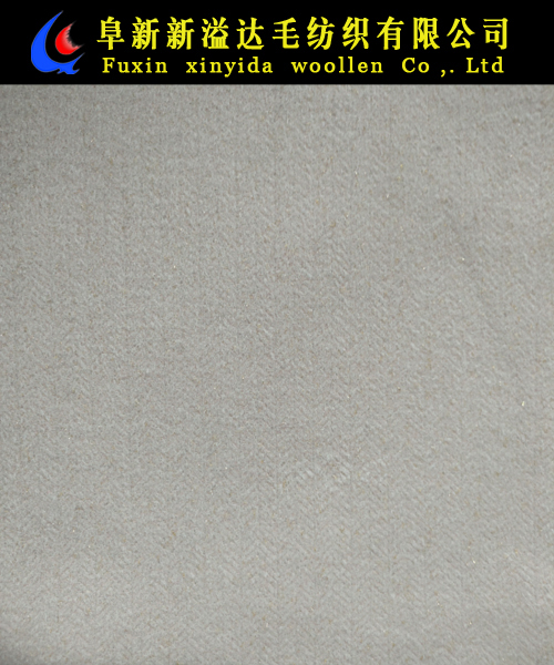 FX20265-2004
